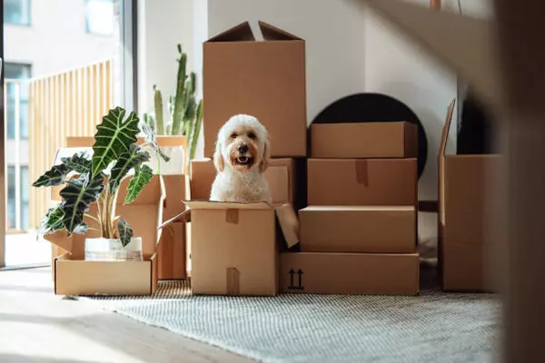 gettyimages-relocation