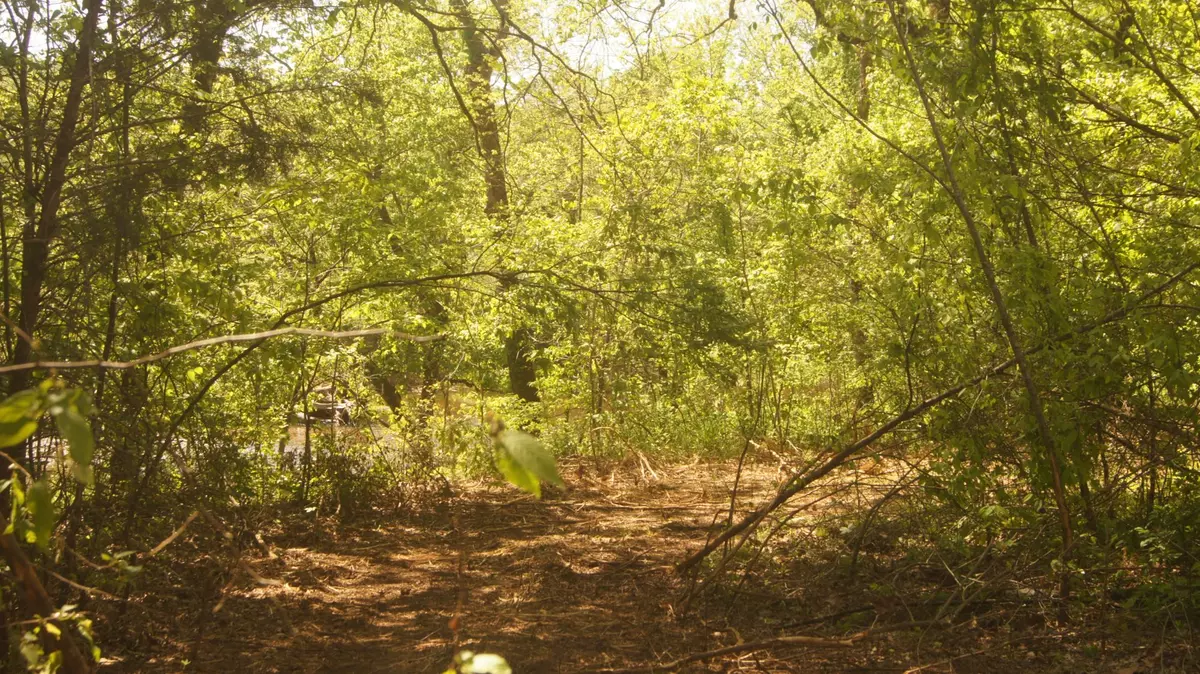 Lot 3 Booth Creek Rd