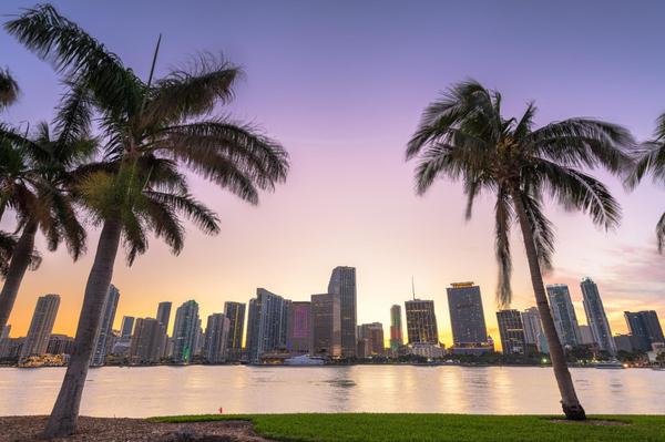 Miami Real Estate Market Trends: What to Expect in the Next Months