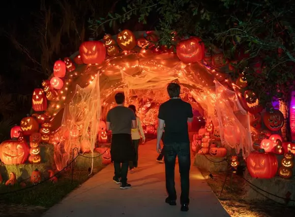 Happy Frights at San Antonio Botanical Garden,Stacey Serrano