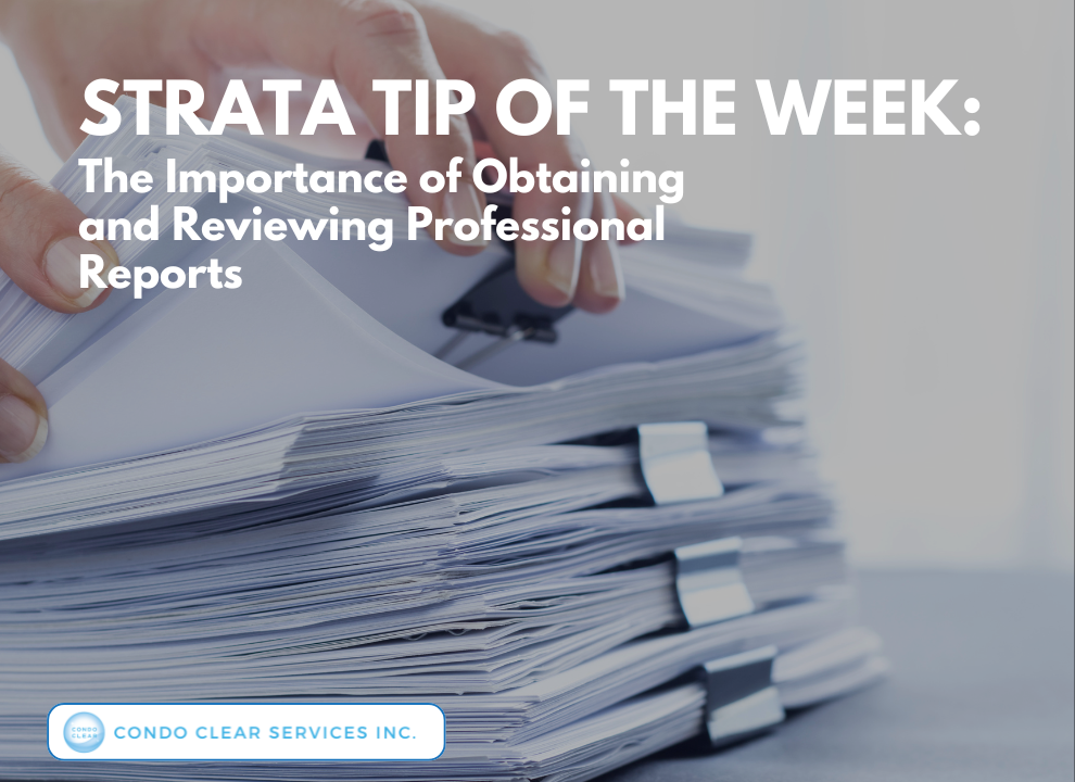 feature image of Strata Tip of the Week - The Importance of Obtaining and Reviewing Professional Reports