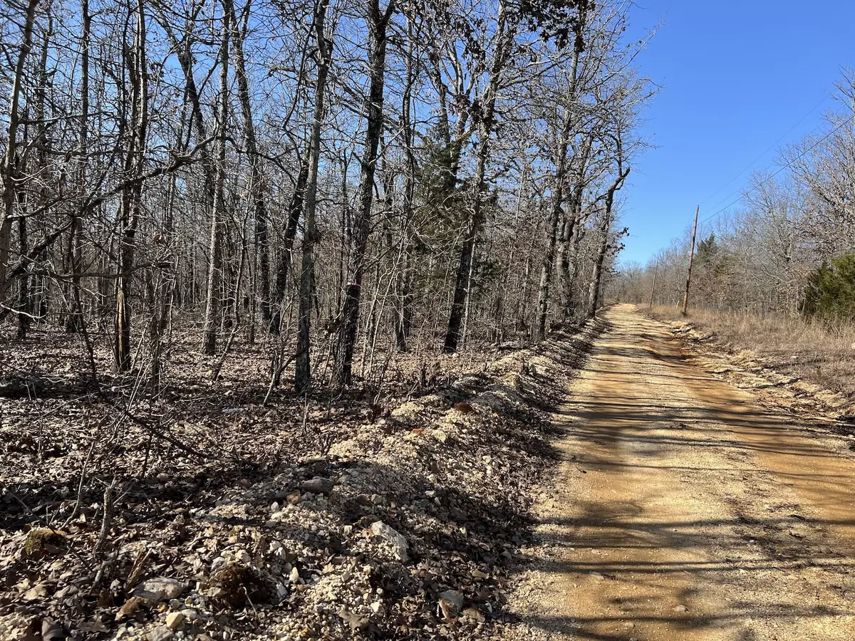 Vacant Acreage for Sale in Mammoth Spring2