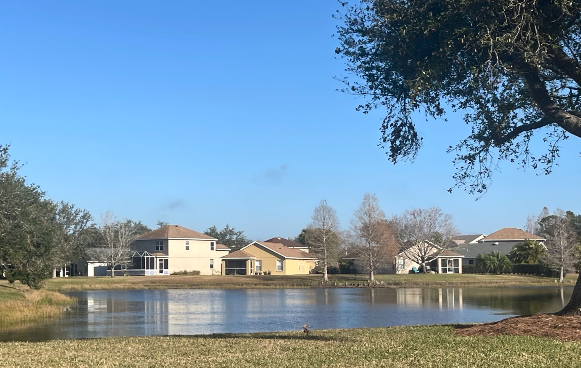 Greenbrook Village in Lakewood Ranch | the 941 Lifestyle Group