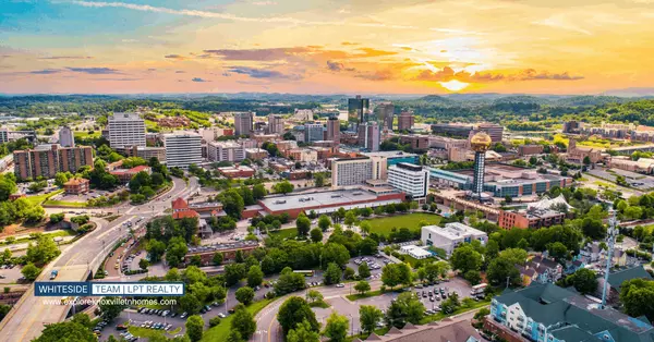 The Real Estate Pulse