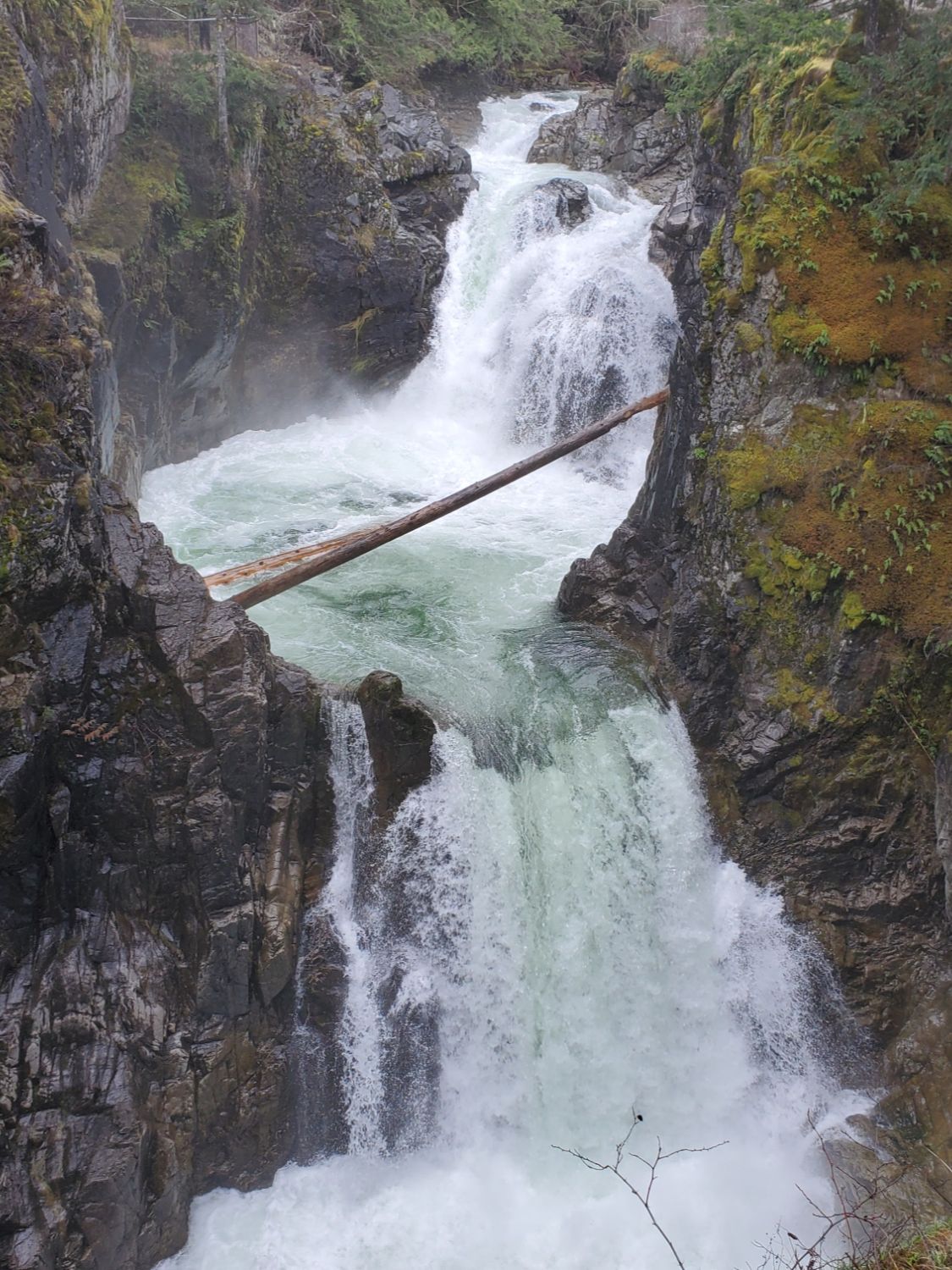 Little Qualicum River Falls on Vancouver Island, featuring rushing water, moss-covered rocks, and lush forest scenery. A popular hiking and nature destination known for its scenic waterfalls and rugged landscape.