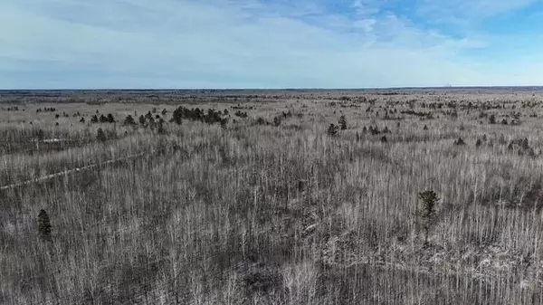 Picturesque 83+ Acres Wooded Land in Superior Wisconsin