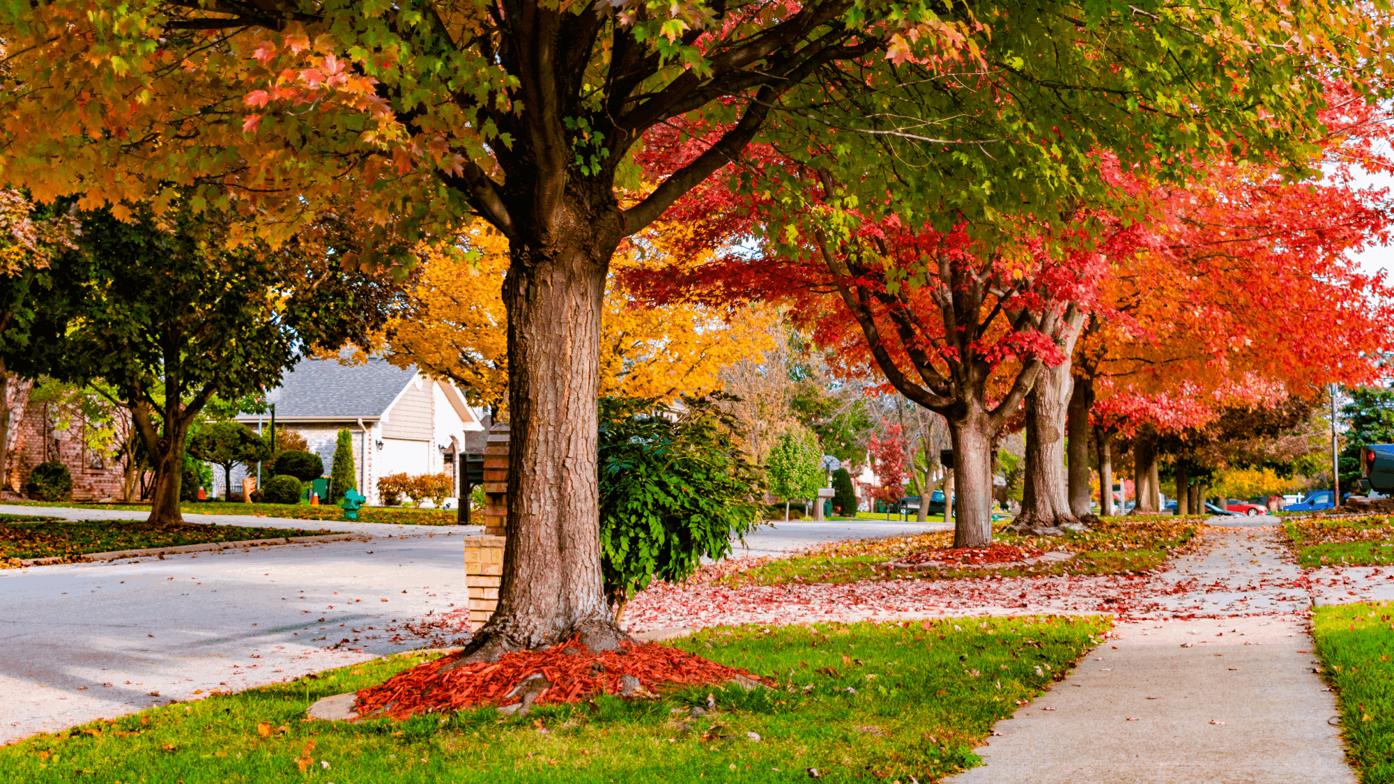 Why Autumn is a Great Time to Buy a Home