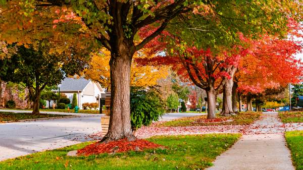 Why Autumn is a Great Time to Buy a Home,Jacobs Group Vegas