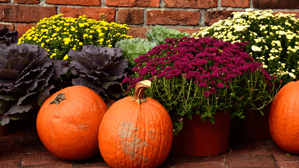 Five Fall Curb Appeal Ideas to Attract Buyers,Jacobs Group Vegas