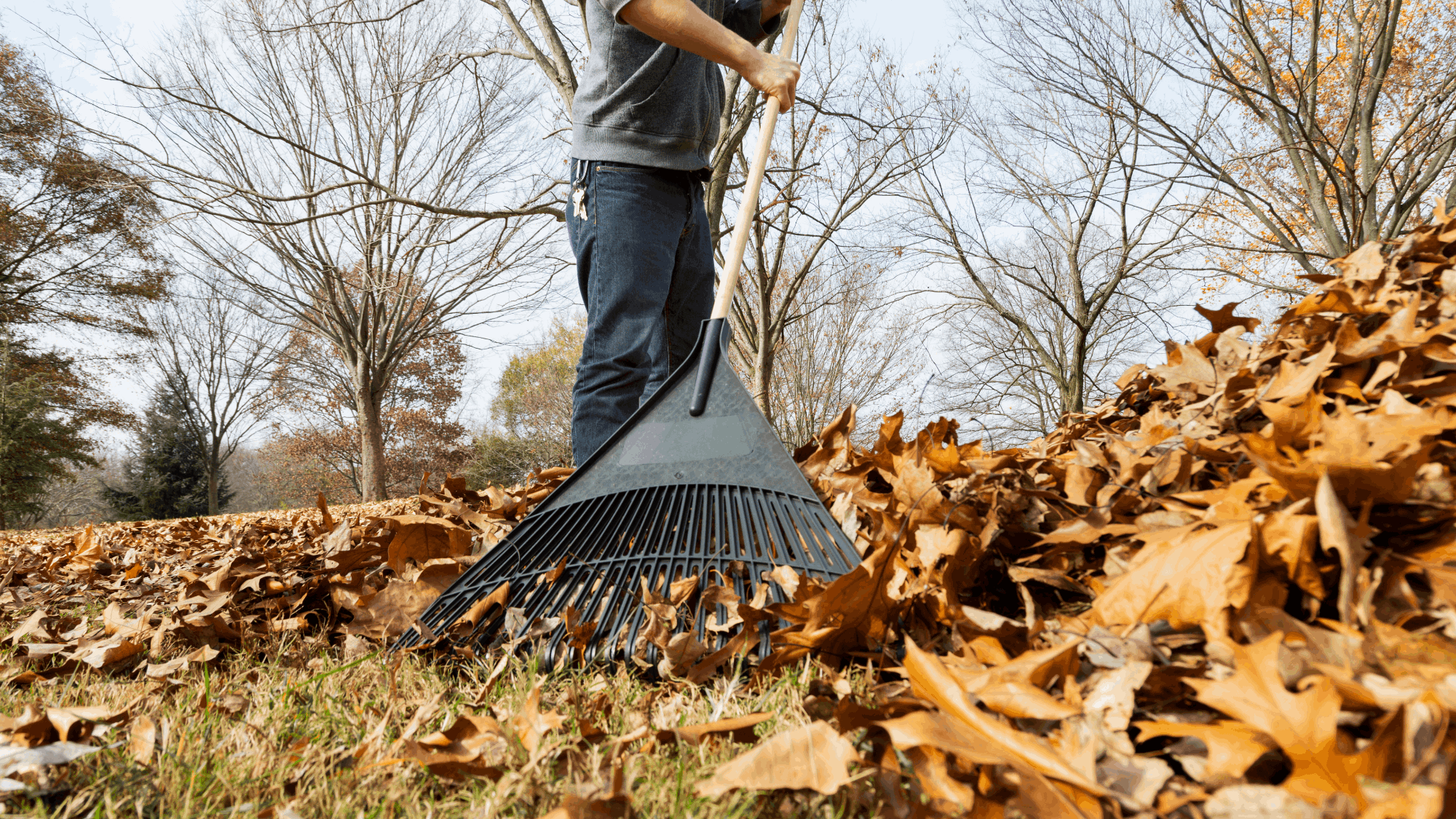 Fall Maintenance Tips to Prepare Your Home for the Season