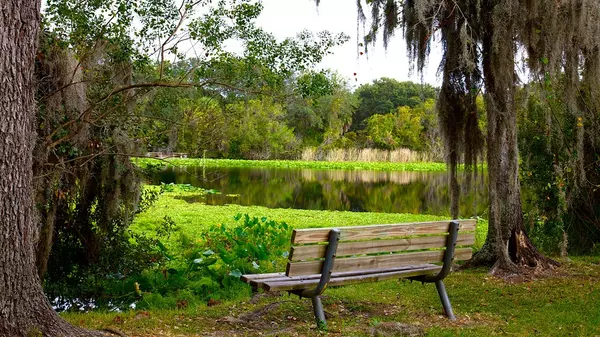 feature image of Explore Al Lopez Park: Tampa’s Hidden Gem for Outdoor Fun and Community Events