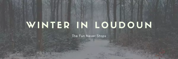 Loudoun County Winter Happenings
