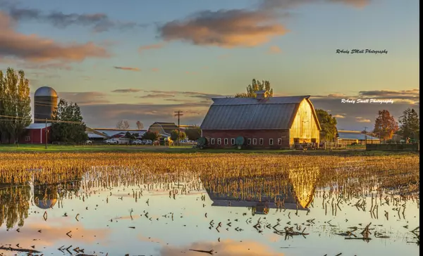 National home sales forcast versus bellingham,James Morris