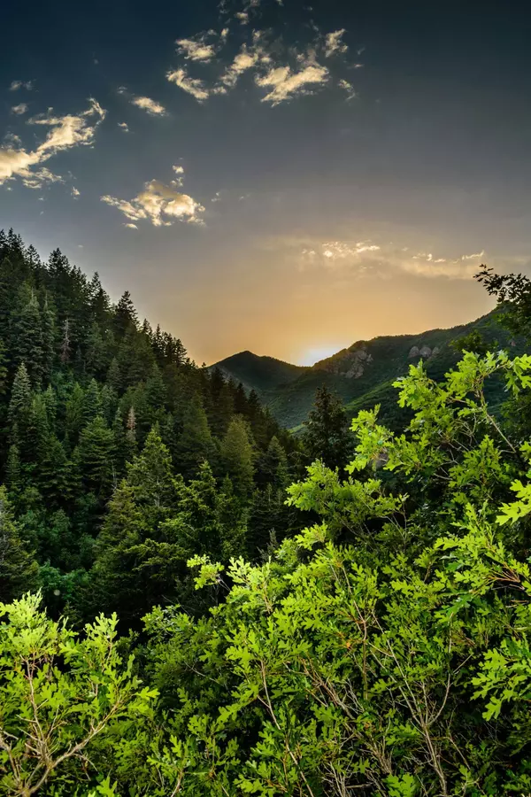 pexels-matthew-montrone-230847-5886503