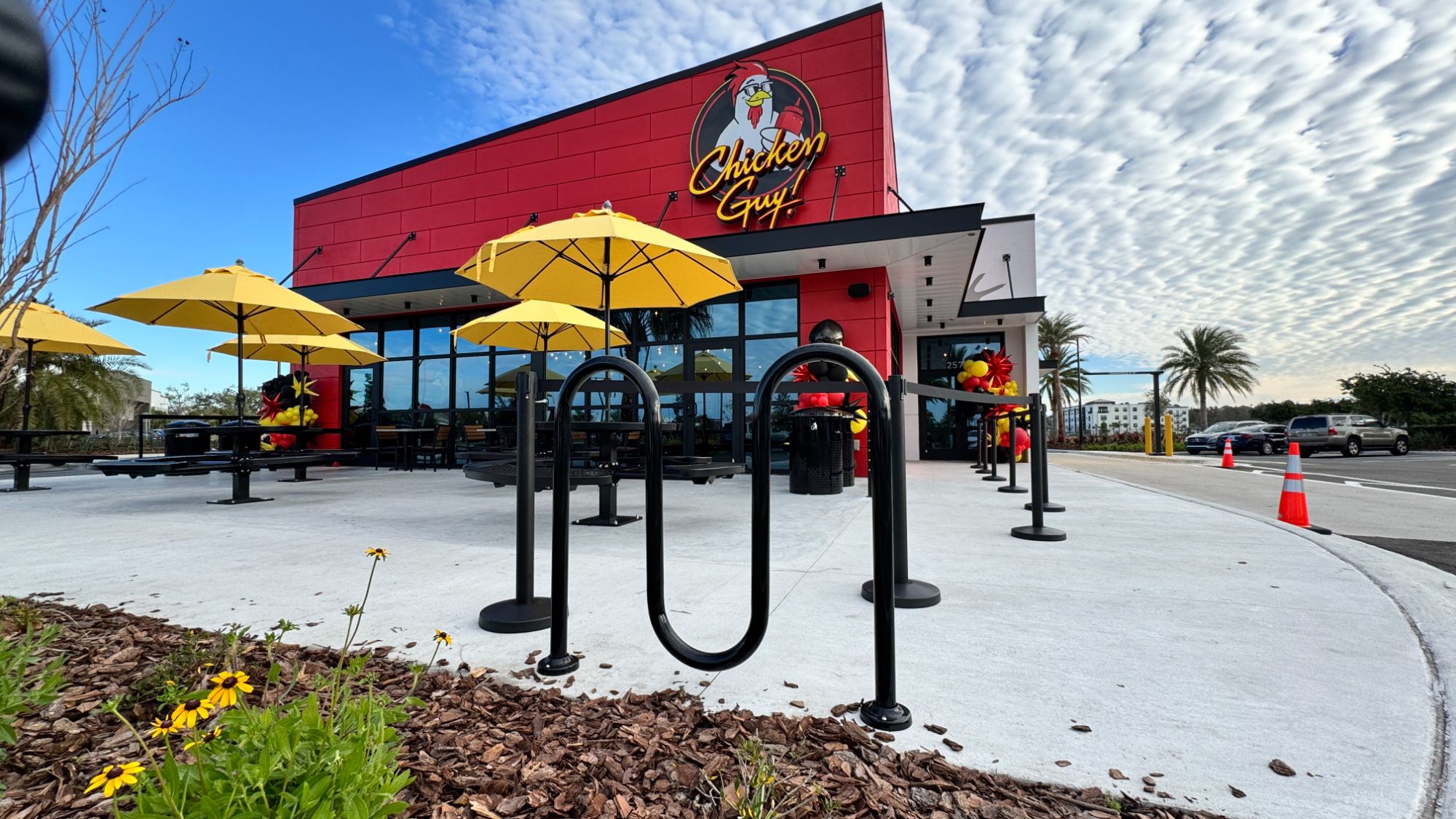 guy fieri chicken guy in wesley chapel location