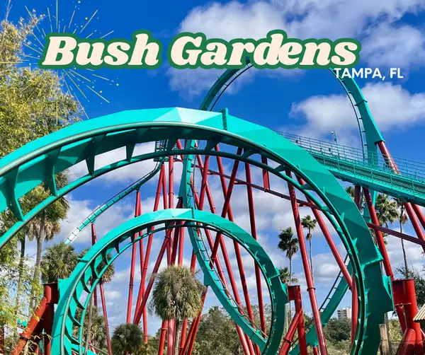 feature image of Things to Do in Tampa: Experience the Thrills of Busch Gardens