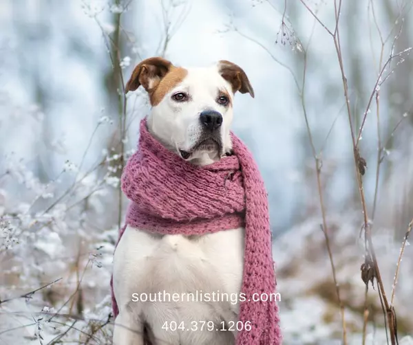 It's COLD Outside!  If It's Safe To Get Out Where You Are, Here Are A few Ideas for The Weekend...,Elena Stanfield