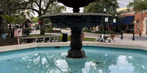 Hyde Park Market Health Report – February 2025,Shane Vanderson