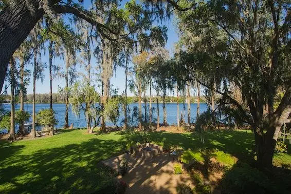 Odessa, FL Market Health Report – February 2025,Shane Vanderson