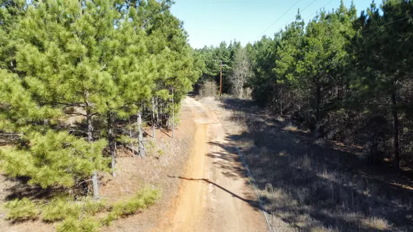 12 East TX Timber Land for Sale near Overton TX