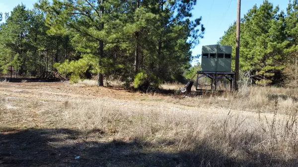 22 East TX Timber Land for Sale near Overton TX