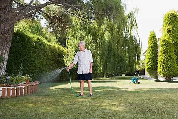 July Home Maintenance Must-Do: Keep Your Lawn & Garden Thriving in the Summer Heat!