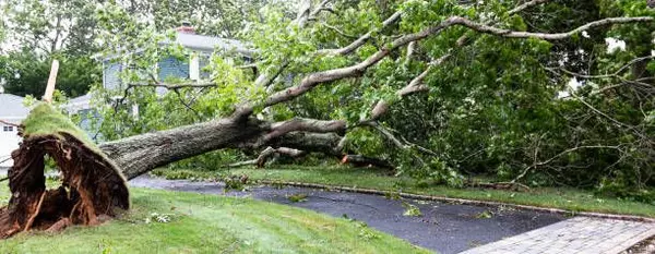 June Home Maintenance Must-Do: Protect Your Home from Summer Storms!