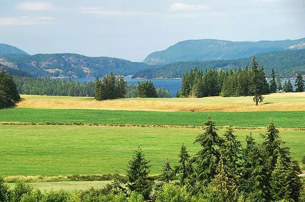 Acreages for Sale on Vancouver Island: A Guide for Buyers