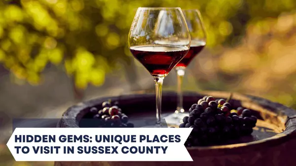 Hidden Gems: Unique Places to Visit in Sussex County