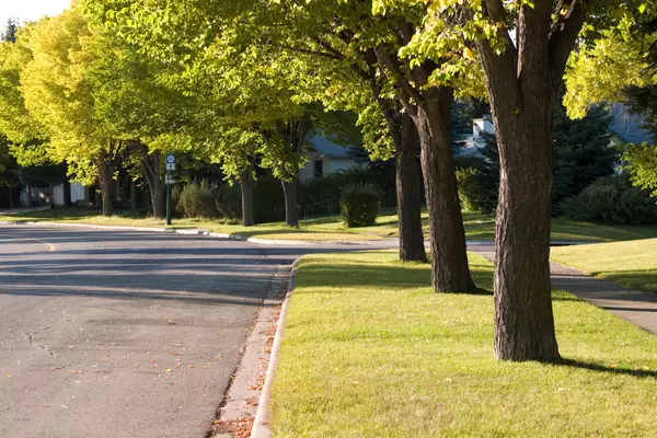 Best Neighborhoods and Communities in Pike County, GA,Dekota Oechsle