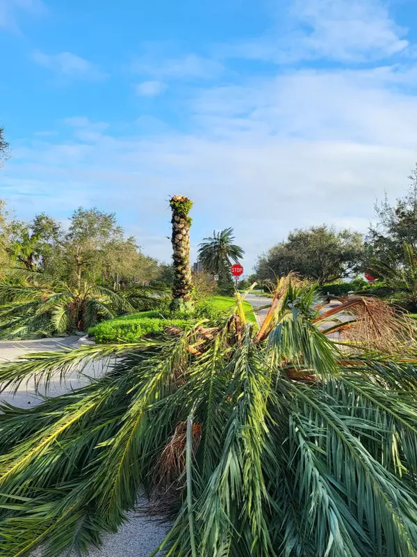 Has Venice FL ever had a hurricane?