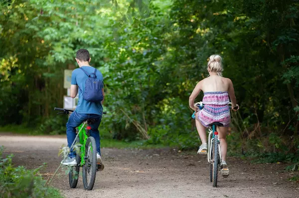 Cycling Through Victoria: Exploring Canada’s Bike-Friendly Capital