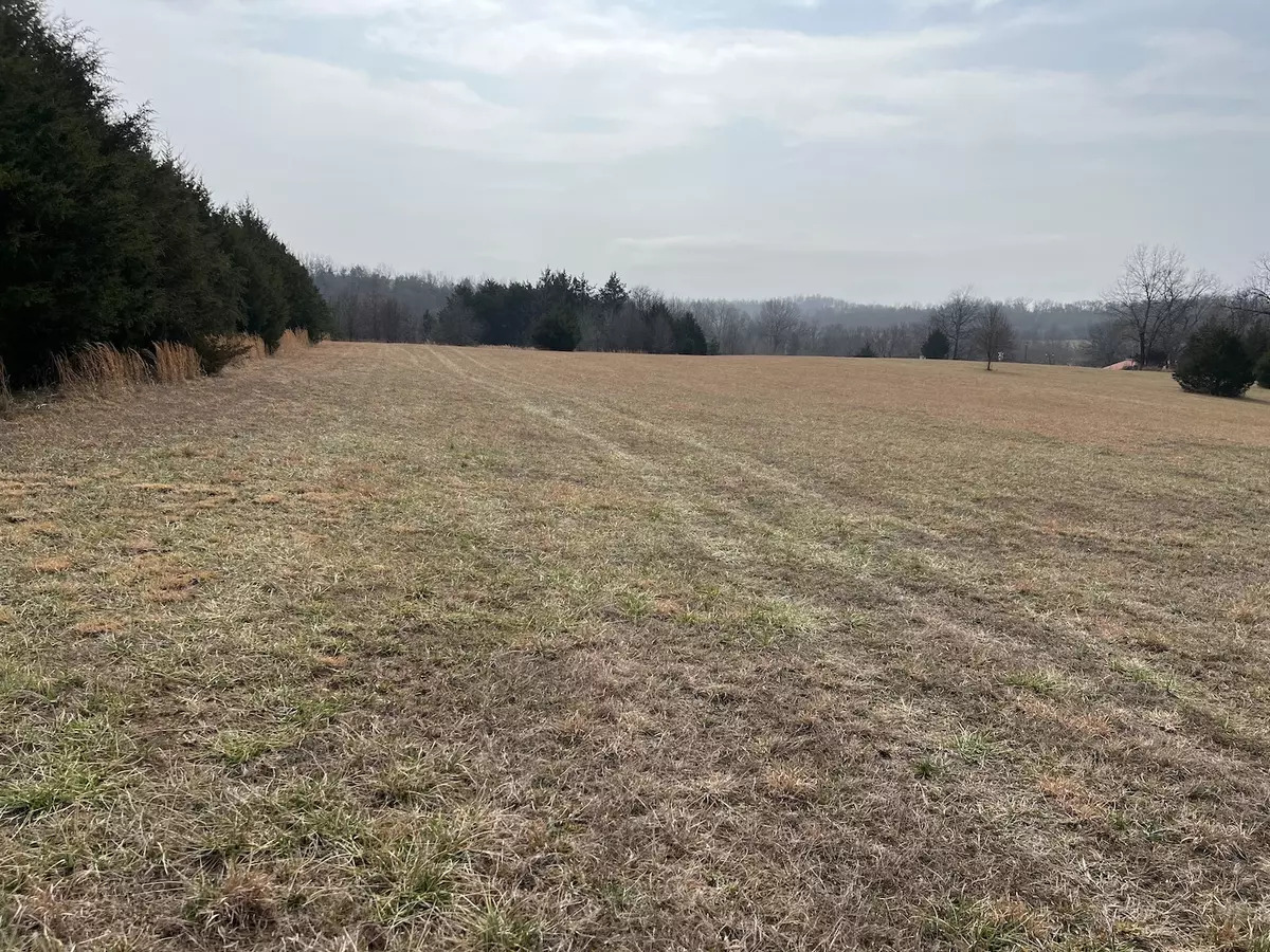 Land for Sale Mammoth Spring13