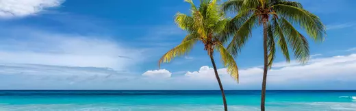 Florida Real Estate & Homes