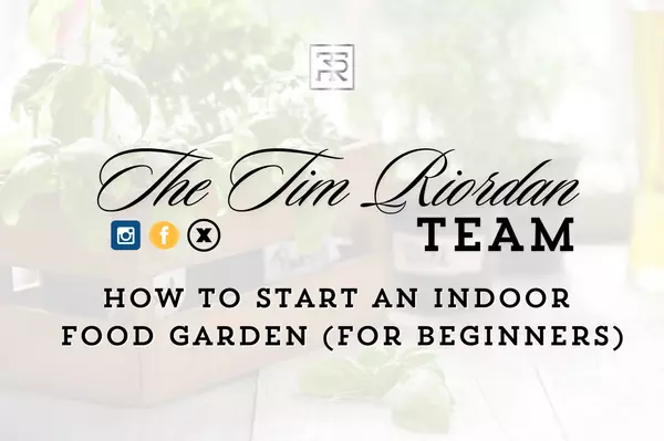 How to Start an Indoor Food Garden (for Beginners)