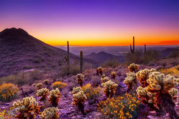 scottsdale-arizona