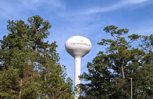 Living in The Woodlands vs. Magnolia: Which Is Right for You?,Bren Brewer