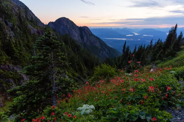 Mount Arrowsmith, Port Alberni