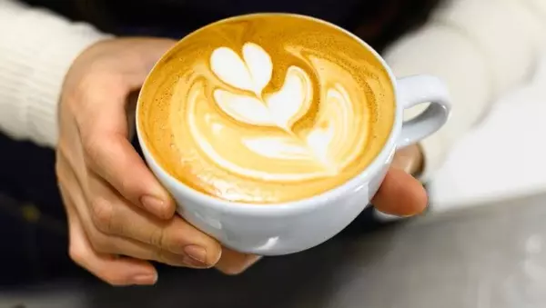 The Best Coffee in Venice, FL: A Local’s Guide to the Perfect Cup