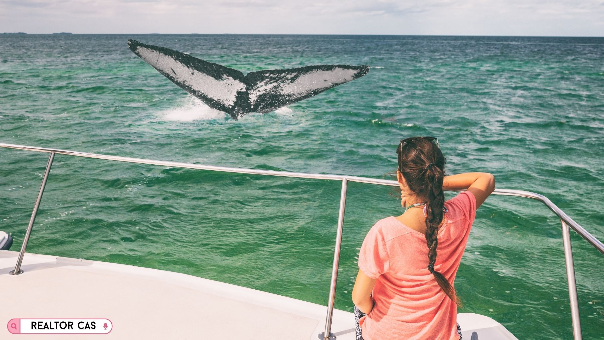 whale watching