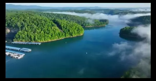 Norris Lake: The Clearest Water in Tennessee!