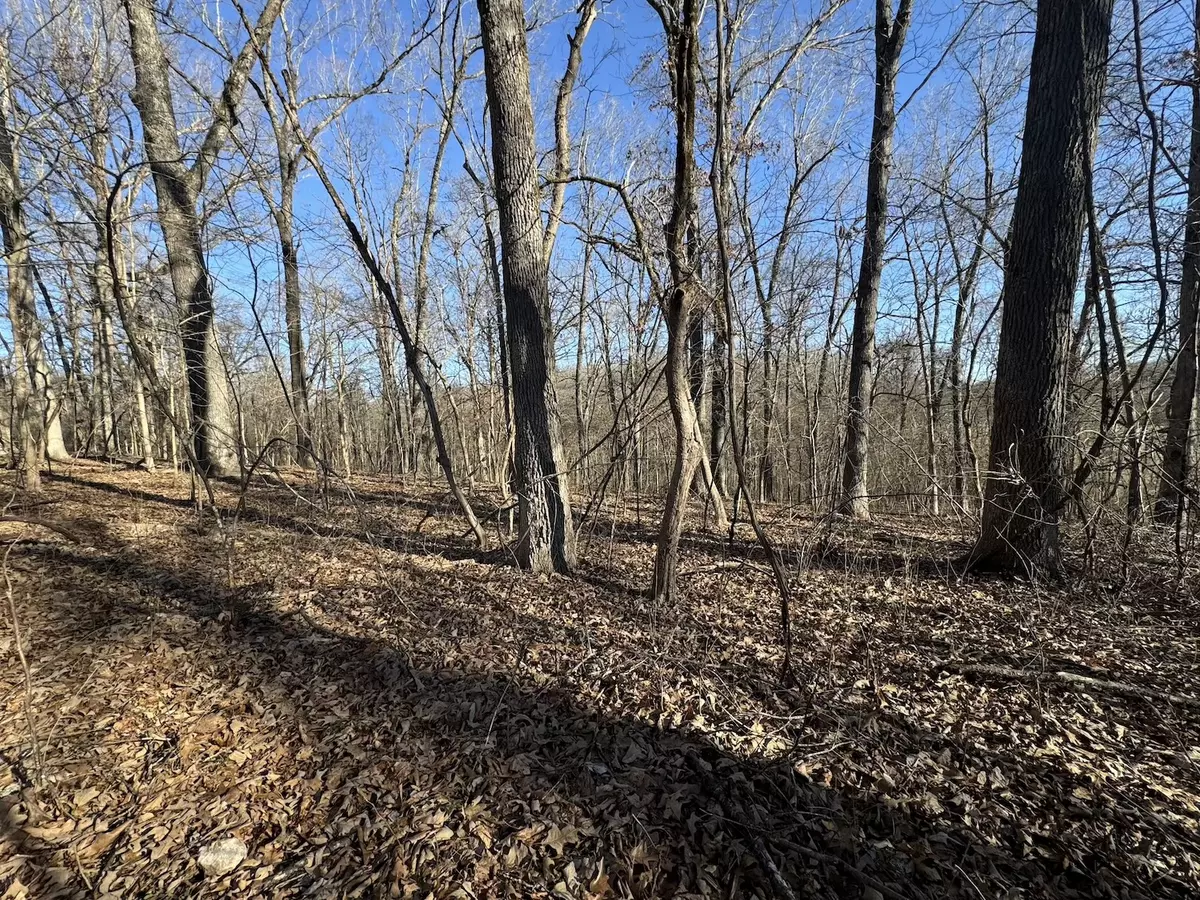 Land for Sale near Warmfork River26