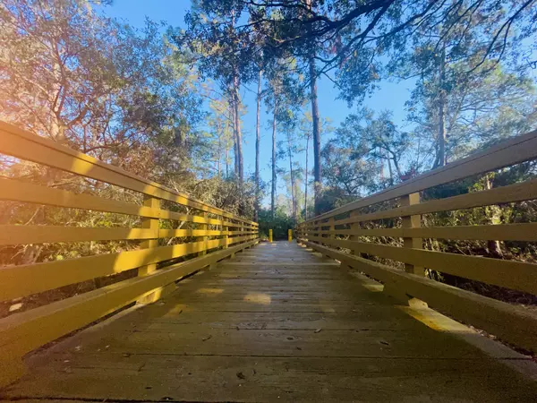 Why Greenbrook Village Might Be Your Perfect Place to Call Home