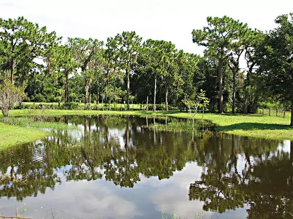 Buying Acreage in Myakka City: What You Need to Know,Adam Miller