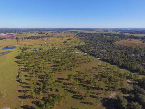 Is a Building Moratorium the Solution to East Manatee County’s Growth Challenges?,Adam Miller