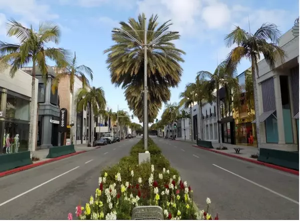 Why is Rodeo Drive so famous?,Vince Peagler III