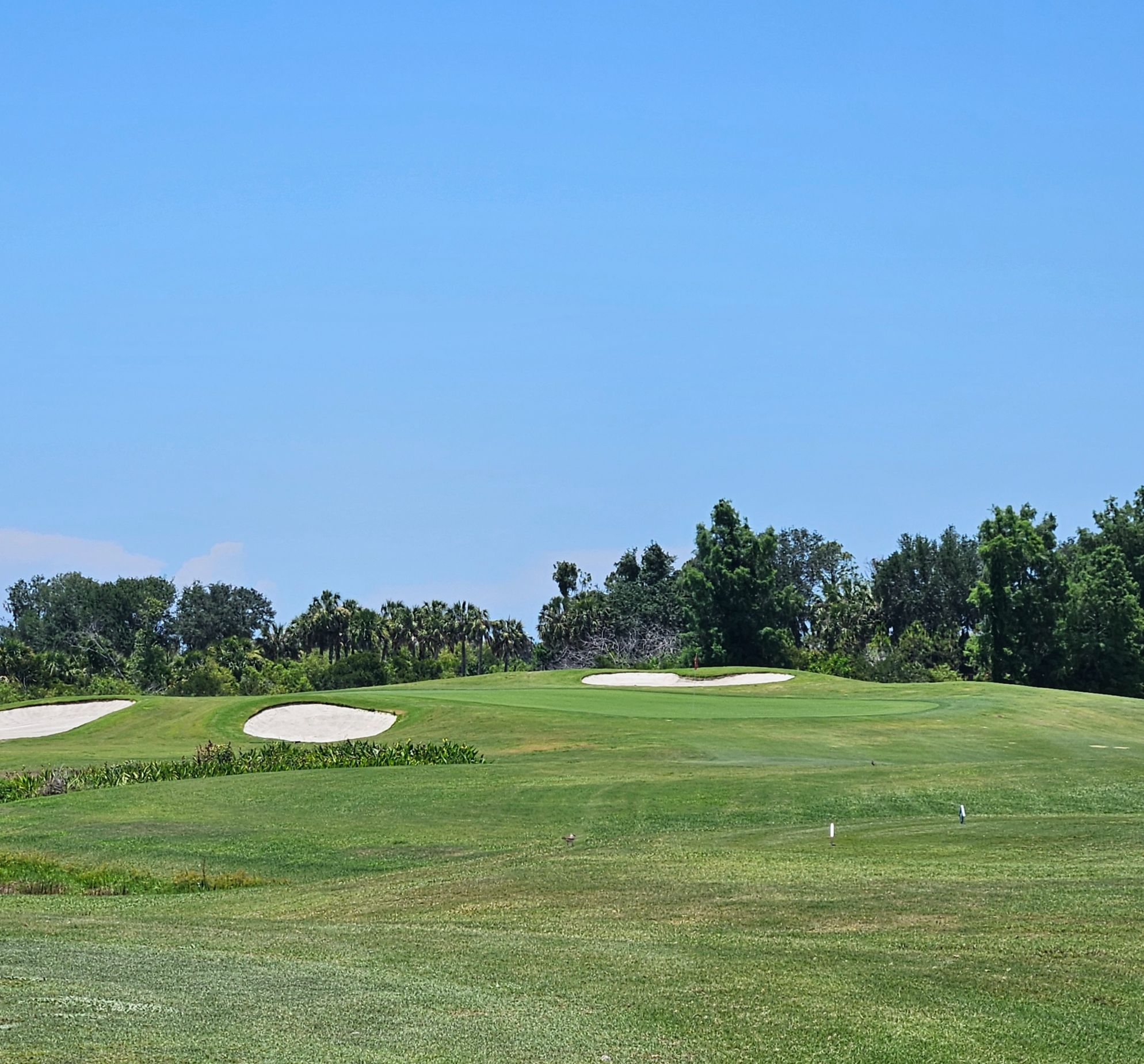 Golf Communities and courses in Venice, Florida