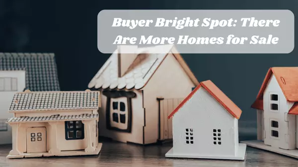 Buyer Bright Spot: There Are More Homes for Sale,Marina Golovatii