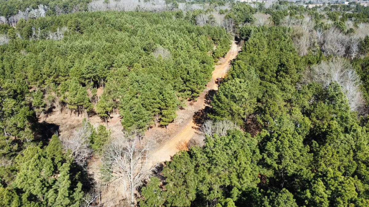 1b East TX Timber Land for Sale near Overton TX