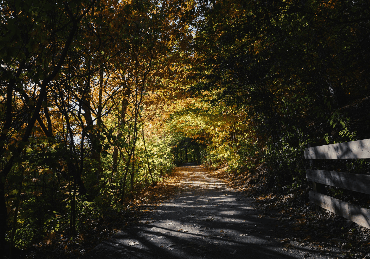 Falgarwood, Oakville